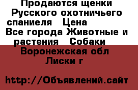 Продаются щенки Русского охотничьего спаниеля › Цена ­ 25 000 - Все города Животные и растения » Собаки   . Воронежская обл.,Лиски г.